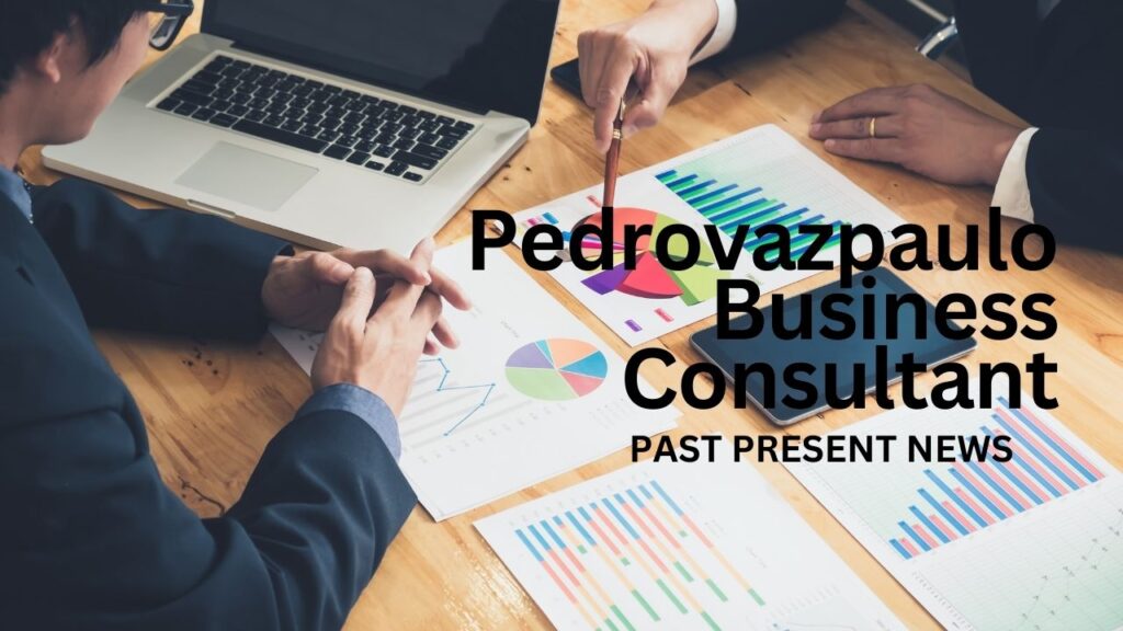 Pedrovazpaulo Business Consultant 